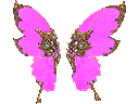 Orb Wings