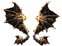 Wing of Storm